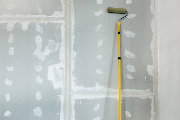 Forensic Mold Investigation in Calcutta, OH
