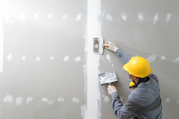 Best Crawl Space Mold Remediation  in Calcutta, OH