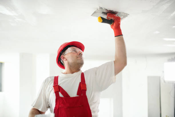 Best Emergency Mold Remediation  in Calcutta, OH