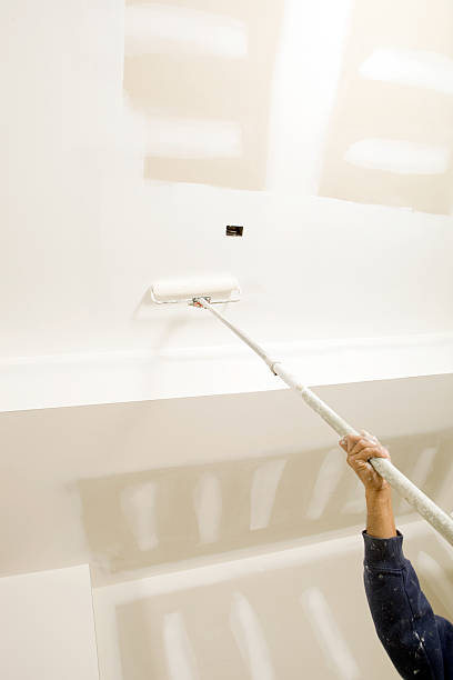  Calcutta, OH Mold Removal Pros
