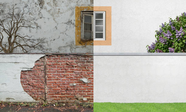 Best Post-Construction Mold Inspection  in Calcutta, OH
