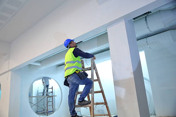 Best Forensic Mold Investigation  in Calcutta, OH